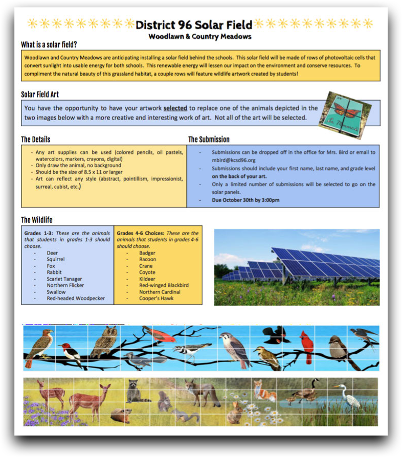 Art contest call to action for SolarSkin design
