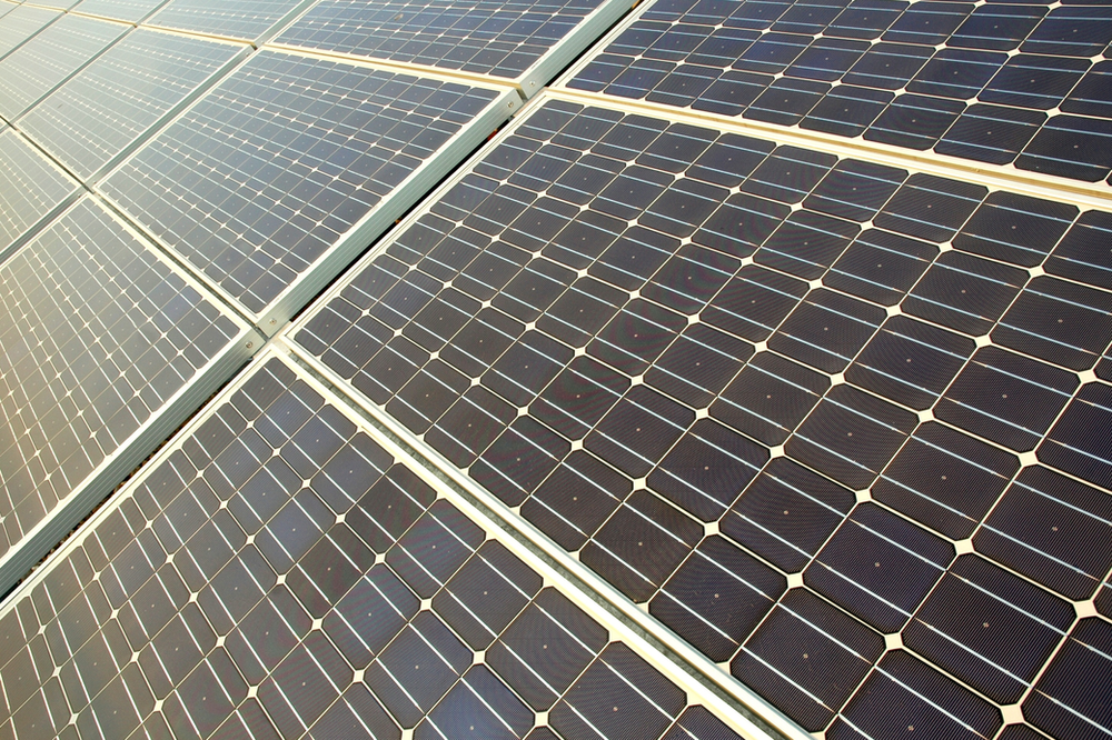Rows of monocrystalline solar panels, black cells on white backing, absorbing sunlight