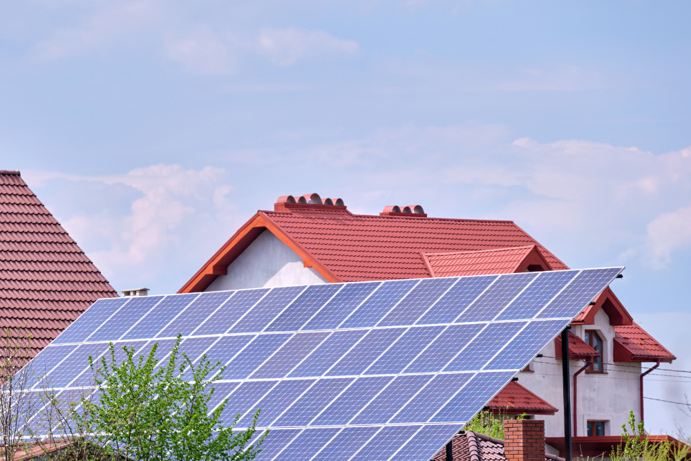 Ground-Mounted Solar Panels
