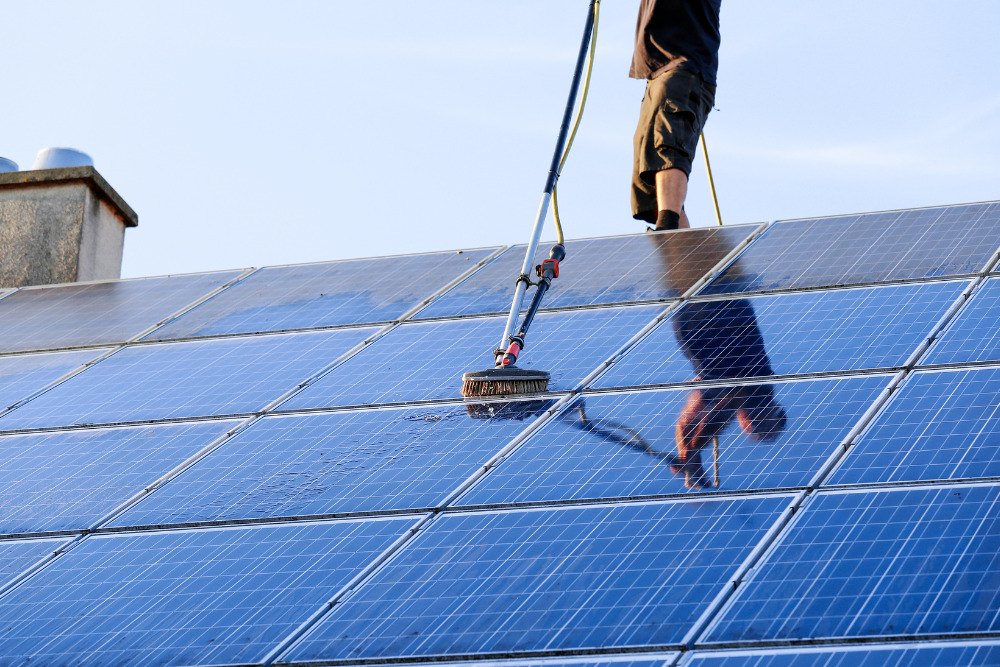 solar panel cleaning services