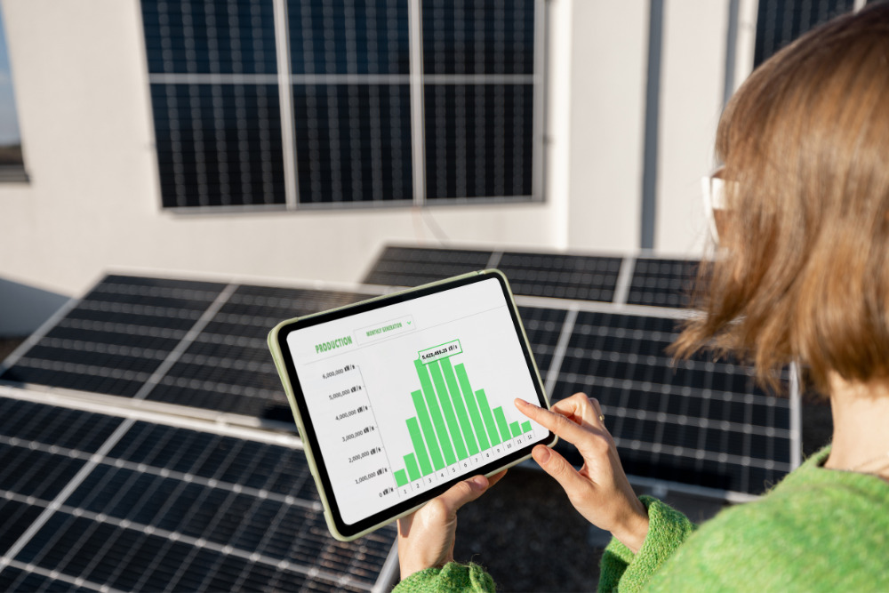 Solar panel monitoring systems